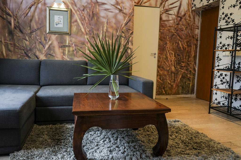 Guest House Senasis Pastas Druskininkai Luaran gambar